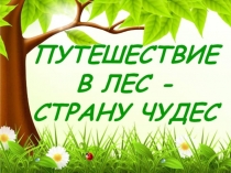 презентация лес