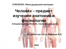 Человек – предмет изучения анатомии и физиологии