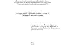 Министерство образования и науки Челябинской области
Муниципальное автономное