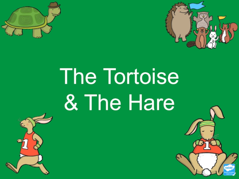 The Tortoise & The Hare