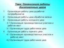 Тема: Организация работы доготовочных цехов