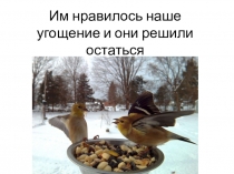 Им нравилось наше угощение и они решили остаться
