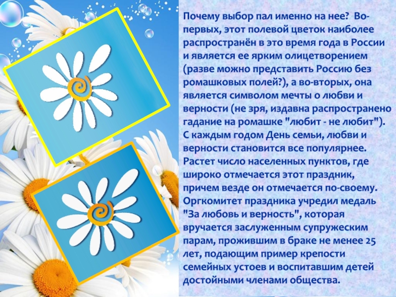 Ромашка символ семьи любви и верности. День семьи Ромашка символ. Символ семьи Ромашка задание детского сада. Почему Ромашка символ семьи.