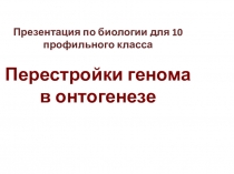 Презентация по биологии для 10 профильного класса Перестройки генома в