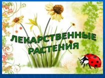 Лекарственные растения
