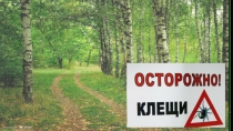 ПрезентациОсторожно! Клещи