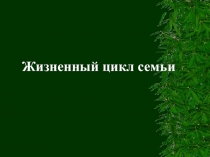 Жизненный цикл семьи