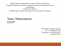 Выполнил: студент группы
ЭТ-1-19 Ефимов П.В.
Проверил: преподаватель,
Пелевина