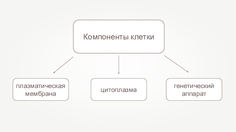 4 элемента клетки. Клетка кирпичик жизни. Компоненты всех клеток. HH клетки. Что такое кирпичики жизни 6 класс биология проект.