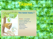 Ткани