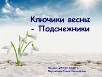 Ключики весны - Подснежники
Педагог МАУ ДО СДЮТЭ
Пирожкова Елена Николаевна