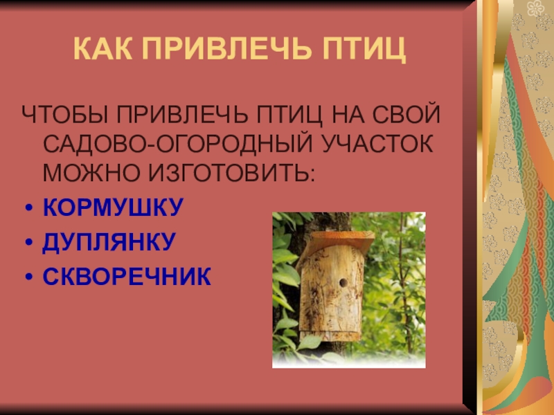 На изготовление скворечников ушло 48 гвоздей. Как привлечь птиц. Инструменты для изготовления скворечника. Эскиз скворечника. Требования к изготовлению скворечника.