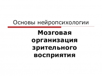 Основы нейропсихологии