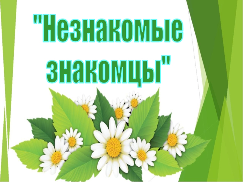 Незнакомые
знакомцы