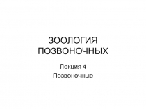 ЗООЛОГИЯ ПОЗВОНОЧНЫХ