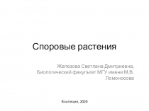 Споровые растения