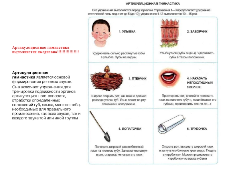Артикуляционная гимнастика выполняется