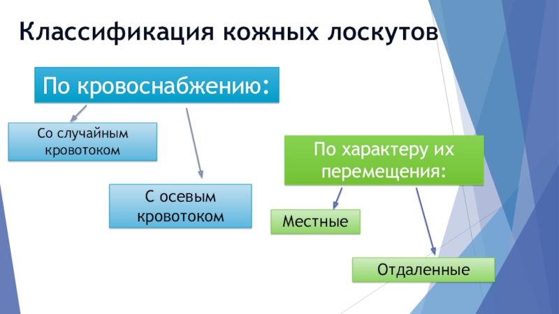 Классификация кожи. Лоскуты классификация. Лоскуты с осевым типом кровоснабжения. Классификация Лоскутов. Кожные лоскуты классификация.