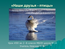 Наши друзья - птицы