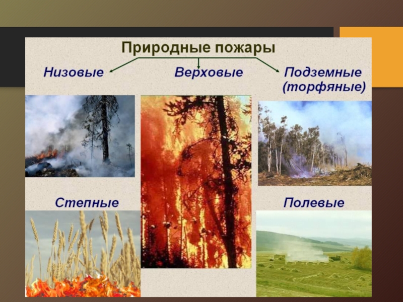 Природный пожар определение. Лесные пожары низовые подземные верховые. Лесные пожары верховые низовые торфяные. Природные пожары это определение. Природные пожары презентация.