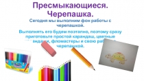 Пресмыкающиеся. Черепашка