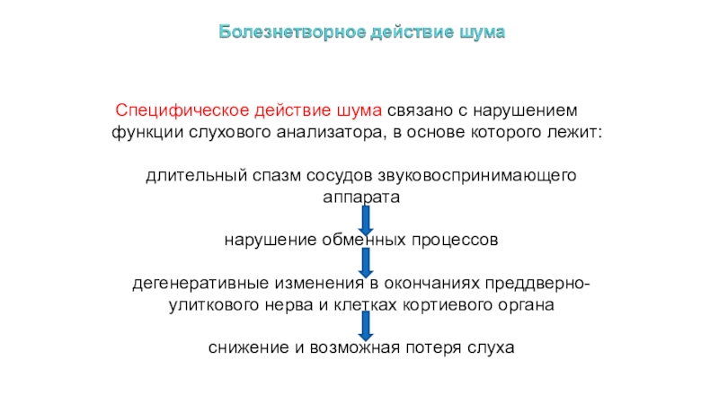 Специфические среды. Болезнетворное действие звука. Патогенное действие шума. Механизмы болезнетворного действия звука. Специфическое действие шума.