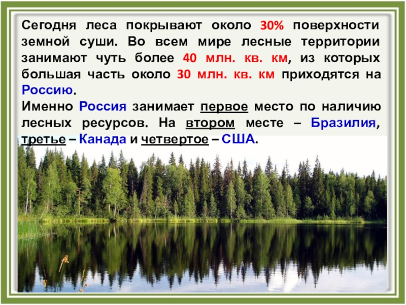 Перевод в покрытую лесом. Леса покрывающие около трети земной суши. 30% Нашей территории покрыты лесами. Леса покрывают около страны США.