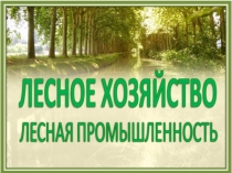 Гр 105.География. 19.06
