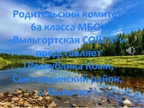 Родительский комитет
6а класса МБОУ
 Выльгортская СОШ