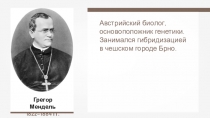 Грегор Мендель
1822–1884 гг.
Австрийский биолог, основоположник генетики