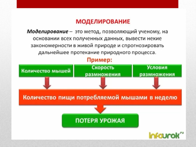 Методы изучения живого 5 класс. Предложил новый метод изучения природы от частного к общему.