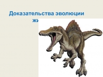 Доказательства эволюции животных