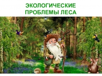 ЭКОЛОГИЧЕСКИЕ
ПРОБЛЕМЫ ЛЕСА