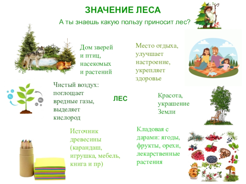 По тексту к паустовского составьте схему значение леса 3 класс