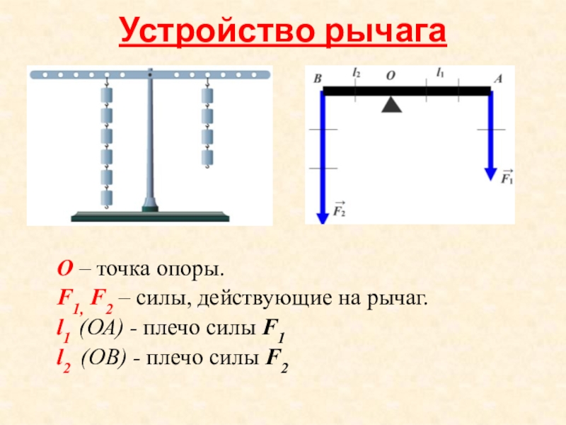 Укажите плечо рычага на которое действует сила f2 см рисунок а ое б