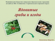 Муниципальное бюджетное дошкольное образовательное учреждение детский сад №61