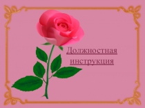 Должностная инструкция