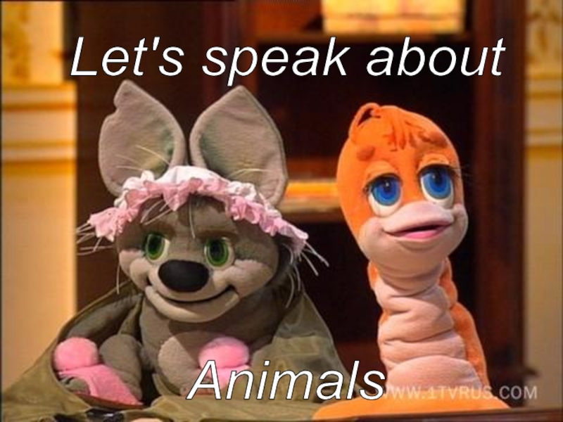Let's speak about
Animals