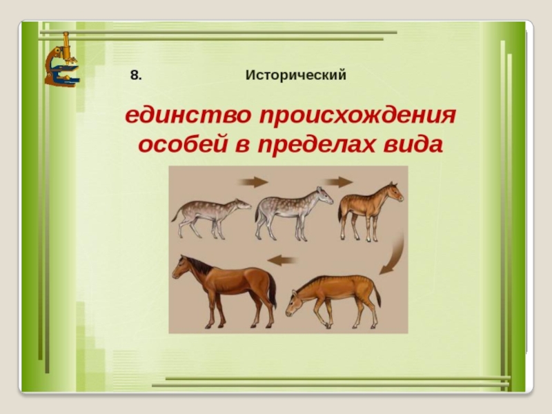 Исторический критерий. Исторический критерий вида. Исторический критерий примеры. Мсторическийкритерий вида примеры. Истерический критерий примеры.