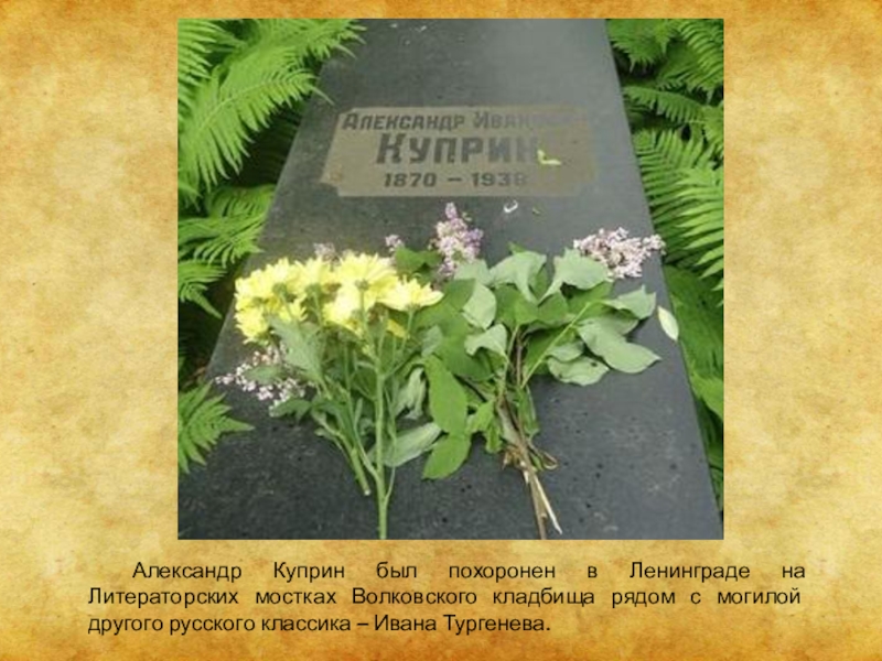 Куприн похоронен. Похоронен на «Литераторских мостках» Волковского кладбища Менделеев. Куприн могила.