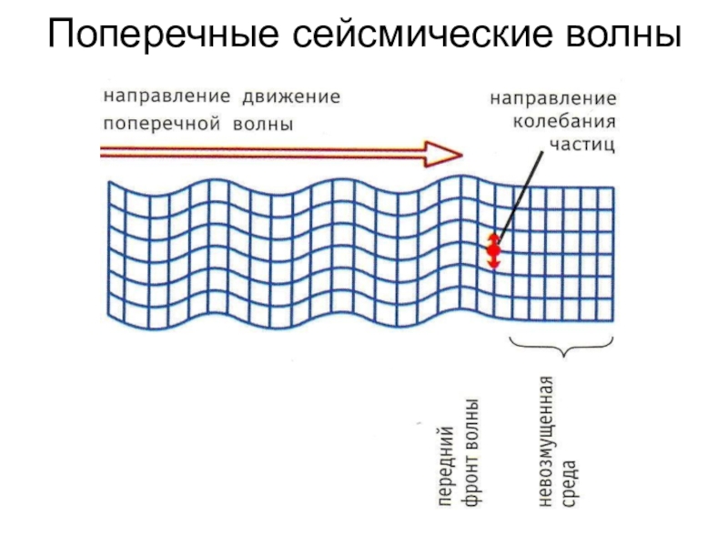 Сейсмические волны презентация