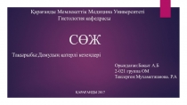 СӨЖ