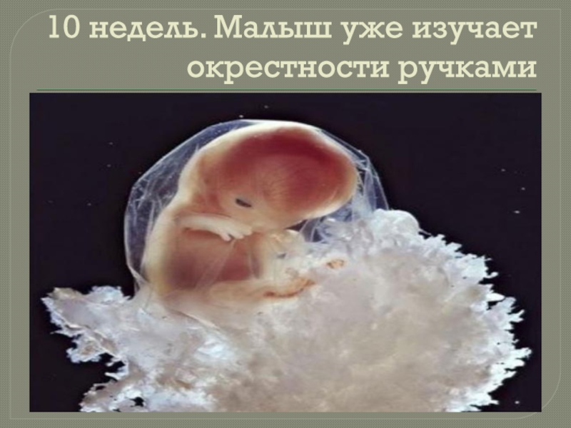 Тошнота 10 недель. Зародыш ребенка в 10 недель. Эмбрион ребенка в 10 недель.