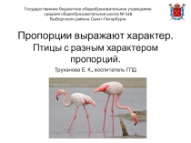 Пропорции выражают характер. Птицы с разным характером пропорций