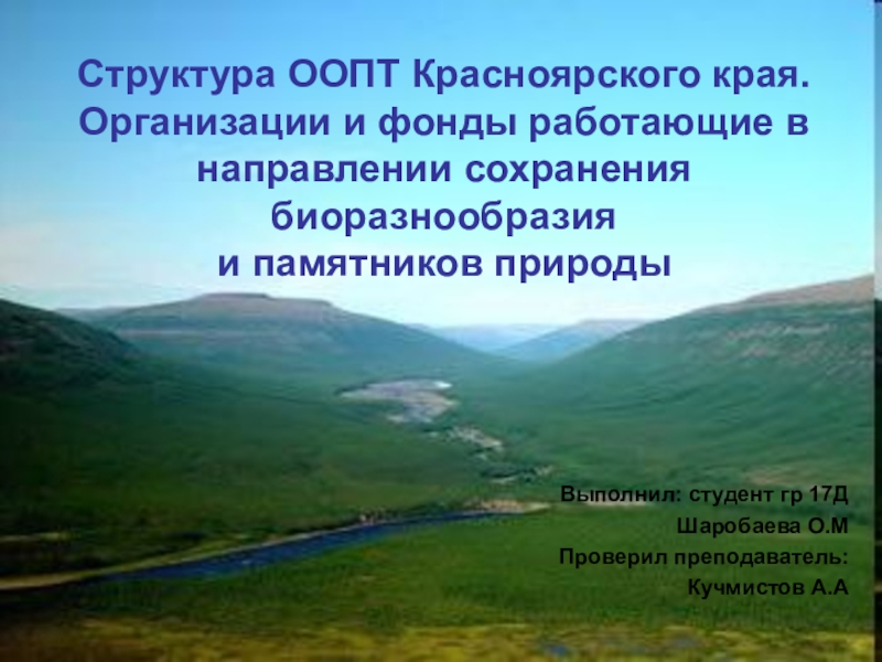 Структура ООПТ Красноярского края. Организации и фонды работающие в направлении