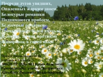 Посреди лугов увядших,
Опаленных жарким зноем,
Белокурые ромашки
Поднимаются