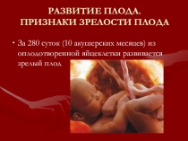 РАЗВИТИЕ ПЛОДА. ПРИЗНАКИ ЗРЕЛОСТИ ПЛОДА