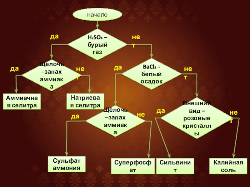 Распознавание веществ. Экспертные системы распознавания химических веществ. Алгоритм распознавания химического вещества. Экспертная система распознавания удобрений. Блок схема распознавания удобрений.