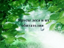 Ярусы леса и их обитатели