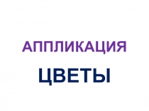 АППЛИКАЦИЯ